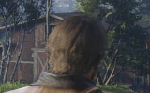 hair FSR 3.1.5
