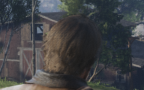 hair HLX FSR 4
