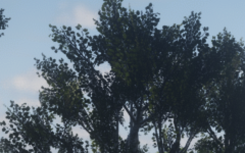 tree HLX FSR 4